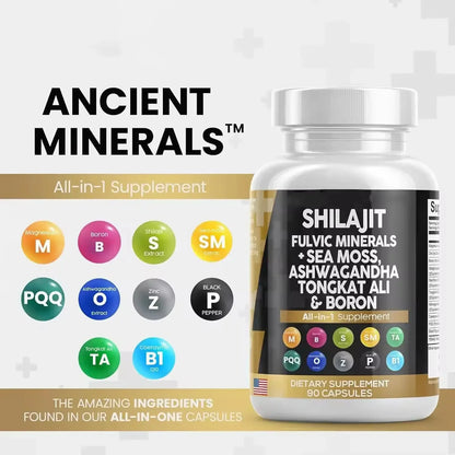 King's Prime Daily Essentials